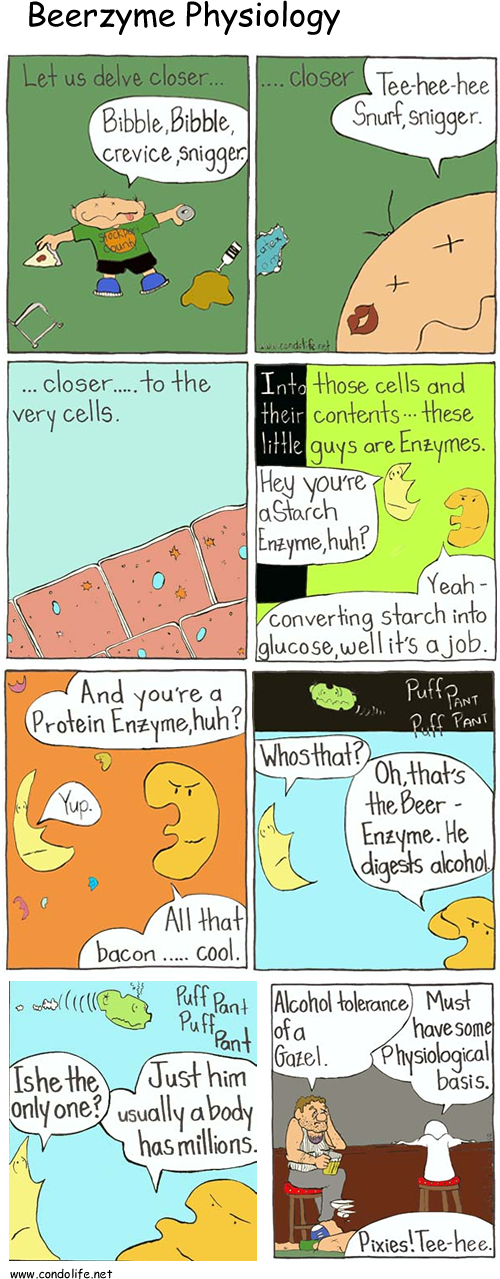 Physiology 1